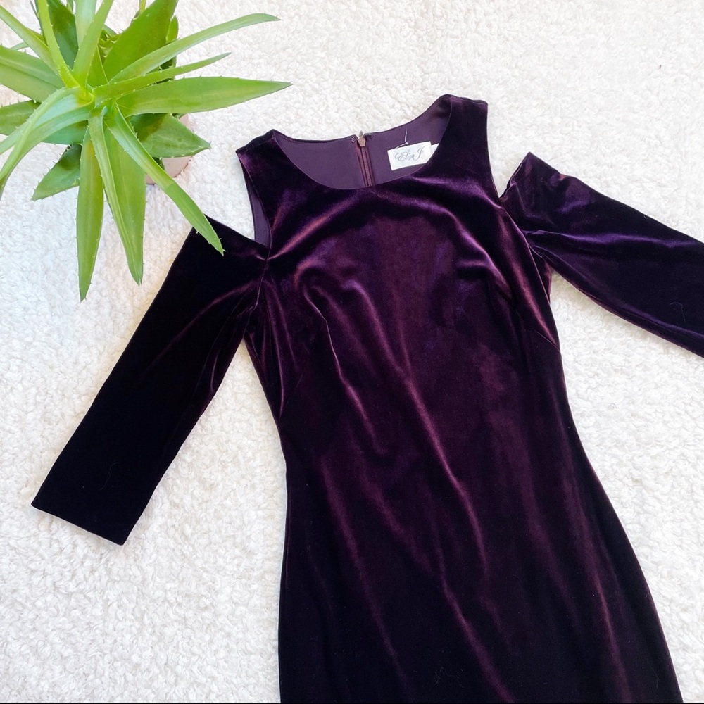 Velvet Eliza J dress